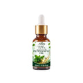 A 10ml amber glass dropper bottle of Herb Factor Peppermint Oil Mentha Piperita Roghan-e-Pudina with a white dropper cap and a green and white label, set against a white background.